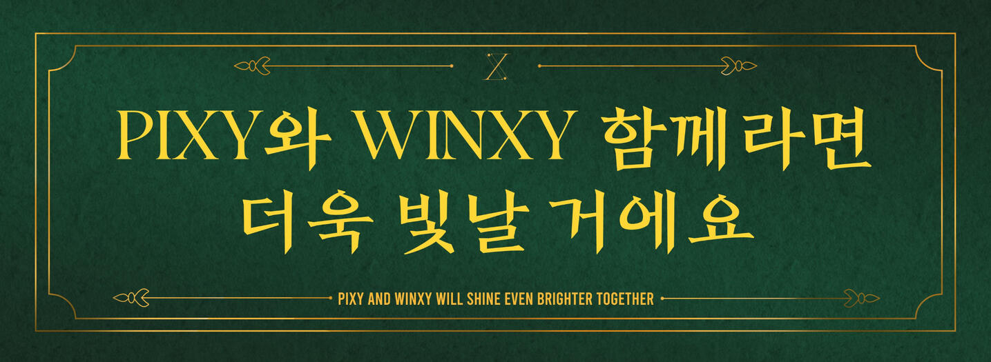 PIXY 2024 Banner B Side (printes)